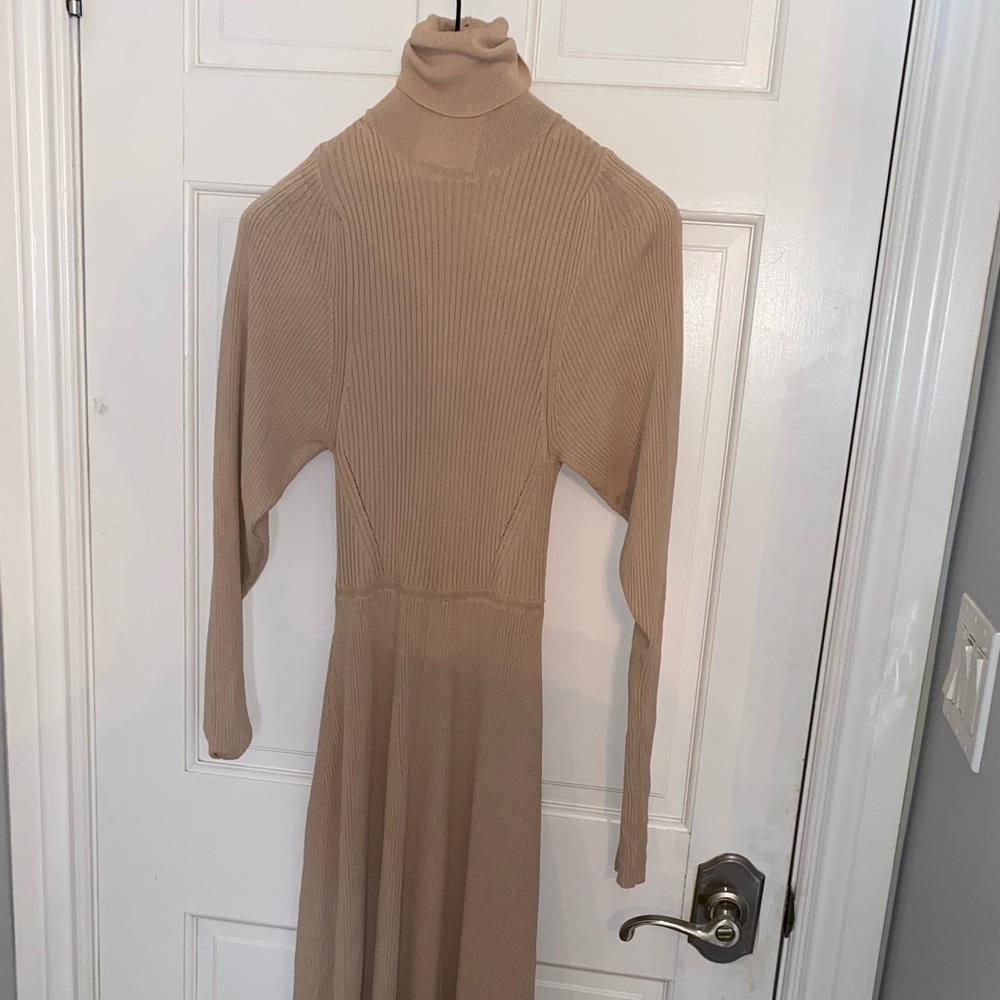 Zara turtle neck dress. New. Tags on.